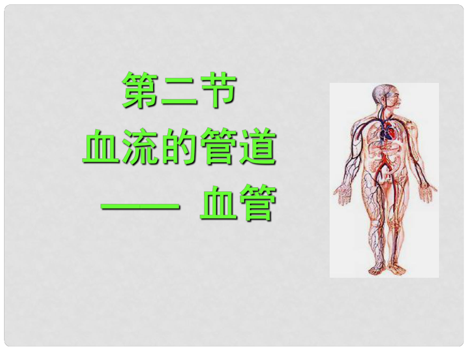 山東省淄博市高青縣第三中學八年級生物上冊 第四章 血管課件 魯科版_第1頁