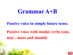 八年級(jí)英語(yǔ)8B Unit 4 教案和課件包Grammar A+B