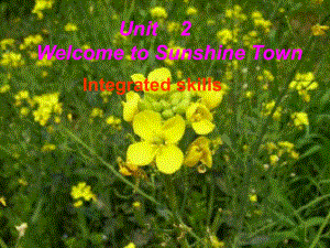 七年級(jí)英語Unit2 Welcome to Sunshine Town Integrated skills 2課件牛津版