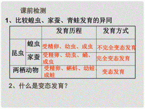 山東省高密市銀鷹文昌中學八年級生物上冊 4.2.3 鳥的生殖和發(fā)育課件 濟南版