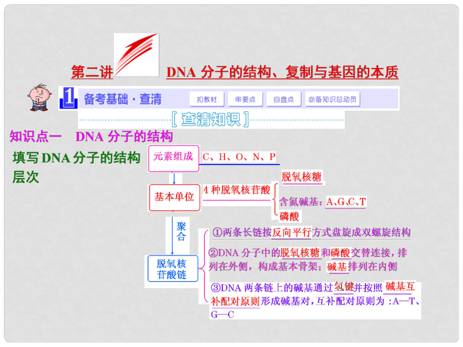 高考生物一輪復(fù)習(xí) 第二講 DNA分子的結(jié)構(gòu)、復(fù)制與基因的本質(zhì)課件 新人教版必修2_第1頁(yè)