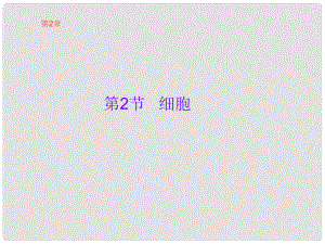 浙江省衢州市石梁中學七年級科學上冊 第2章 第2節(jié) 細胞課件 浙教版