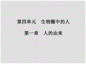 廣東省中考生物專題復(fù)習 第四單元 第一章 人的由來課件