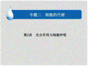 湖南省長沙市長郡衛(wèi)星遠程學校高三生物下學期《專題二 細胞的代謝》第2講 光合作用與細胞呼吸課件1 新人教版