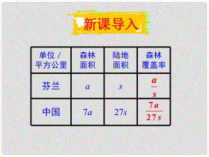 安徽省安慶市桐城呂亭初級(jí)中學(xué)八年級(jí)數(shù)學(xué)上冊(cè) 分式的乘除課件 新人教版