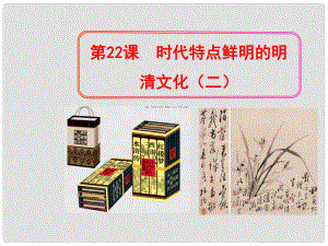 遼寧省遼陽(yáng)市第九中學(xué)七年級(jí)歷史下冊(cè) 22 時(shí)代特點(diǎn)鮮明的明清文化（二）課件 新人教版