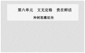 高中語(yǔ)文 種樹郭橐駝傳課件 新人教版選修《中國(guó)古代詩(shī)歌散文》