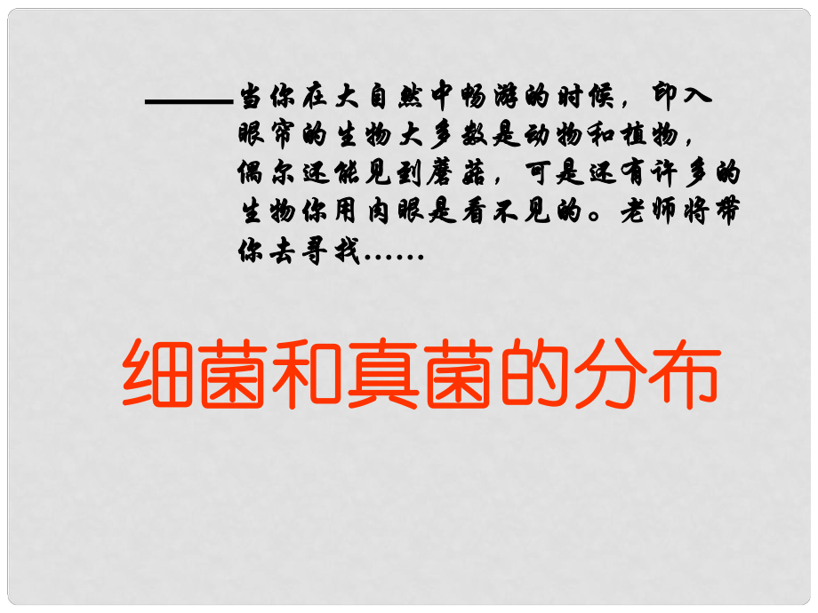 河北省望都縣第三中學(xué)八年級生物上冊 細菌和真菌的分布課件 新人教版_第1頁