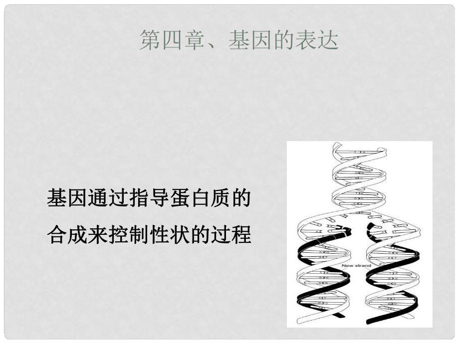 高一生物必修2 基因的表達課件_第1頁