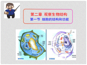 七年級(jí)生物上冊(cè) 第一單元 第二章 第一節(jié) 細(xì)胞的結(jié)構(gòu)與功能課件 （新版）濟(jì)南版