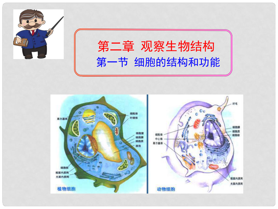 七年級(jí)生物上冊(cè) 第一單元 第二章 第一節(jié) 細(xì)胞的結(jié)構(gòu)與功能課件 （新版）濟(jì)南版_第1頁