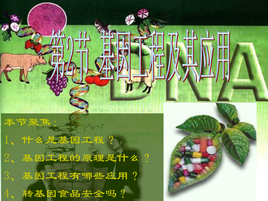 高一生物 基因工程及其應(yīng)用 課件必修2_第1頁