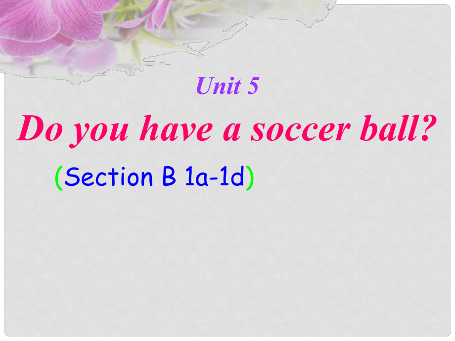 陜西省漢中市佛坪縣初級中學七年級英語上冊 Unit 5 Do you have a soccer ball課件 （新版）人教新目標版_第1頁