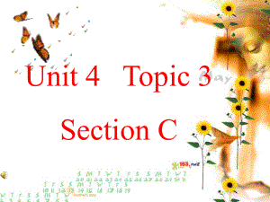 九年級(jí)英語(yǔ)Unit4 Topic 3 Section C 1課件仁愛(ài)版