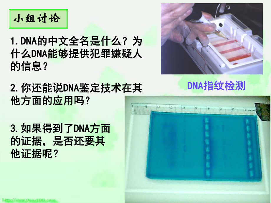 高一生物必修1 遺傳信息的攜帶者 核酸課件_第1頁(yè)