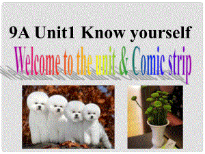 江蘇省永豐初級中學(xué)九年級英語上冊 Unit 1 Know yourself comic and welcome課件 （新版）牛津版