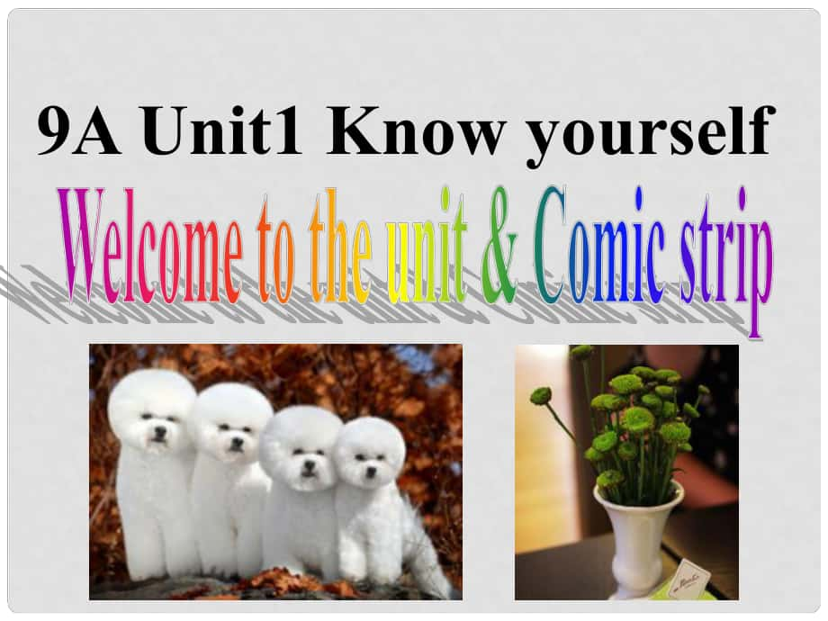 江蘇省永豐初級中學(xué)九年級英語上冊 Unit 1 Know yourself comic and welcome課件 （新版）牛津版_第1頁