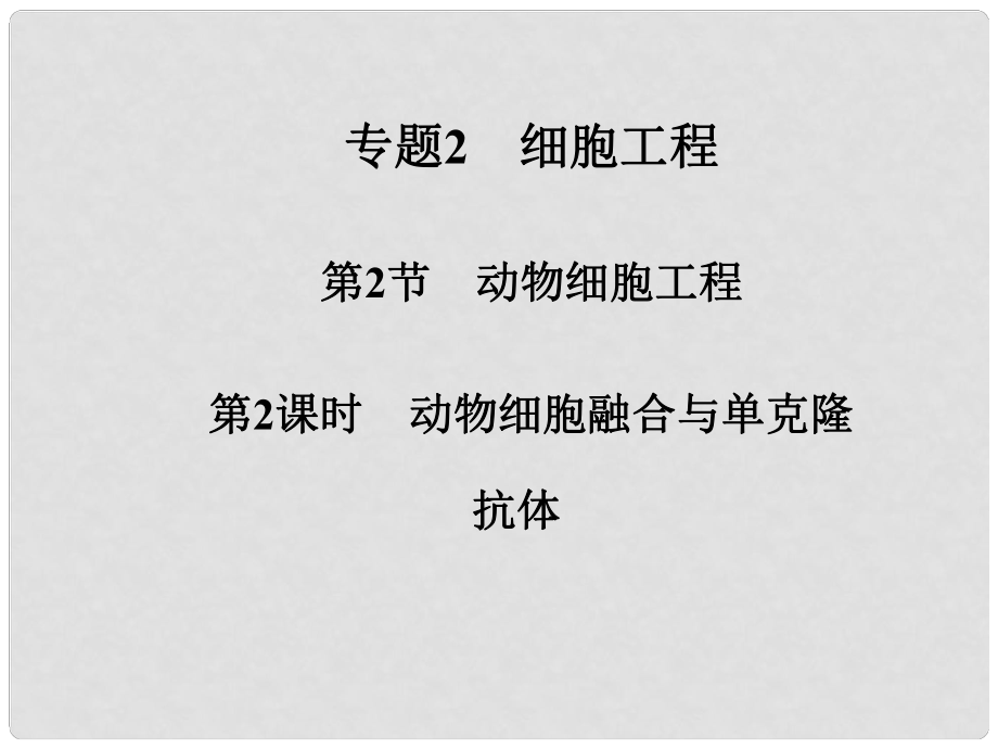 高中生物 專題二 第2節(jié) 第2課時 動物細胞融合與單克隆抗體課件 新人教版選修3_第1頁