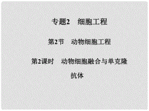 高中生物 專題二 第2節(jié) 第2課時 動物細胞融合與單克隆抗體課件 新人教版選修3