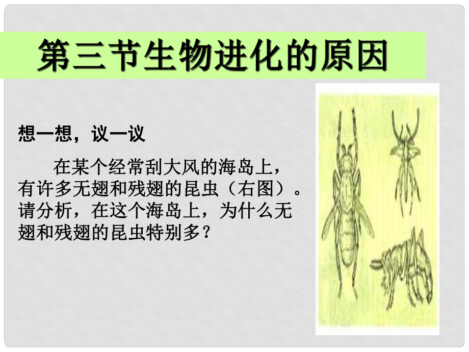 八年级生物下册 第三节 生物进化的原因课件 新人教版_第1页