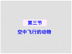 青海省湟川中學第二分校八年級生物 第三節(jié) 空中飛行的動物 課件 人教新課標版