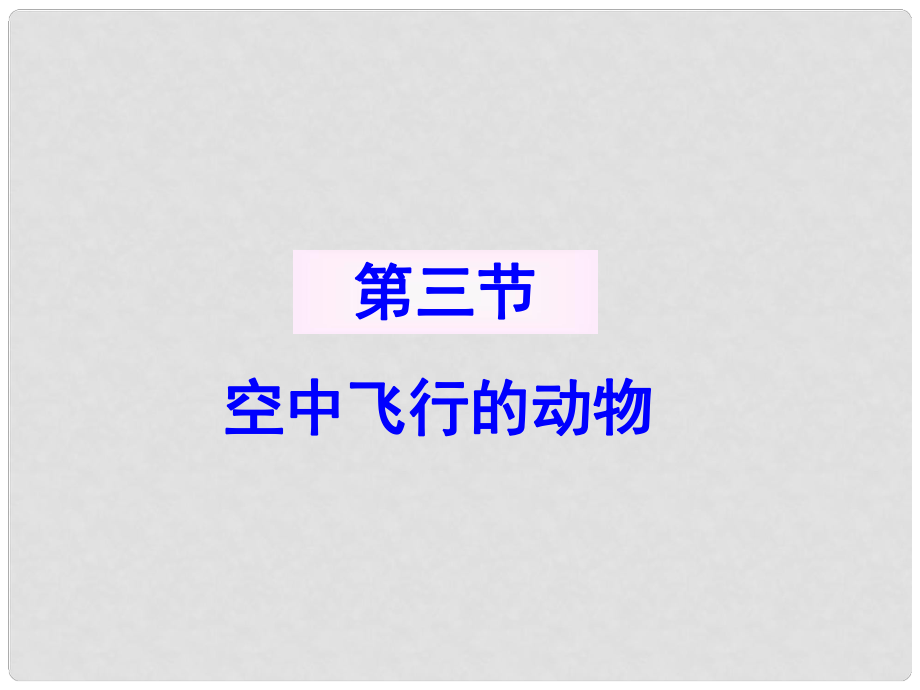 青海省湟川中學(xué)第二分校八年級生物 第三節(jié) 空中飛行的動物 課件 人教新課標(biāo)版_第1頁