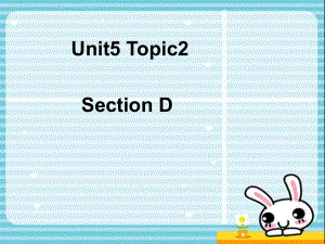 九年級英語下冊Unit5 American or British？Topic2 Section D 課件仁愛版