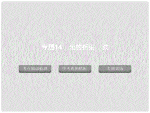 廣東省深圳市福田云頂學(xué)校中考生物專題復(fù)習(xí) 專題14 光的折射 波課件 新人教版
