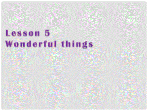 江蘇省鹽城市永豐初級(jí)中學(xué)七年級(jí)英語(yǔ) Lesson 5 Wonderful things課件 牛津譯林預(yù)備版