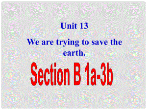 浙江省紹興縣楊汛橋鎮(zhèn)中學(xué)九年級英語全冊《Unit 13 We’re trying to save the earth》（Section B 3）課件 （新版）人教新目標(biāo)版