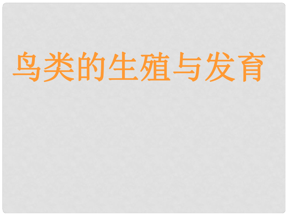 陜西省安康市漢濱區(qū)建民辦事處河西初級中學(xué)八年級生物下冊 鳥類的生殖與發(fā)育課件 新人教版_第1頁