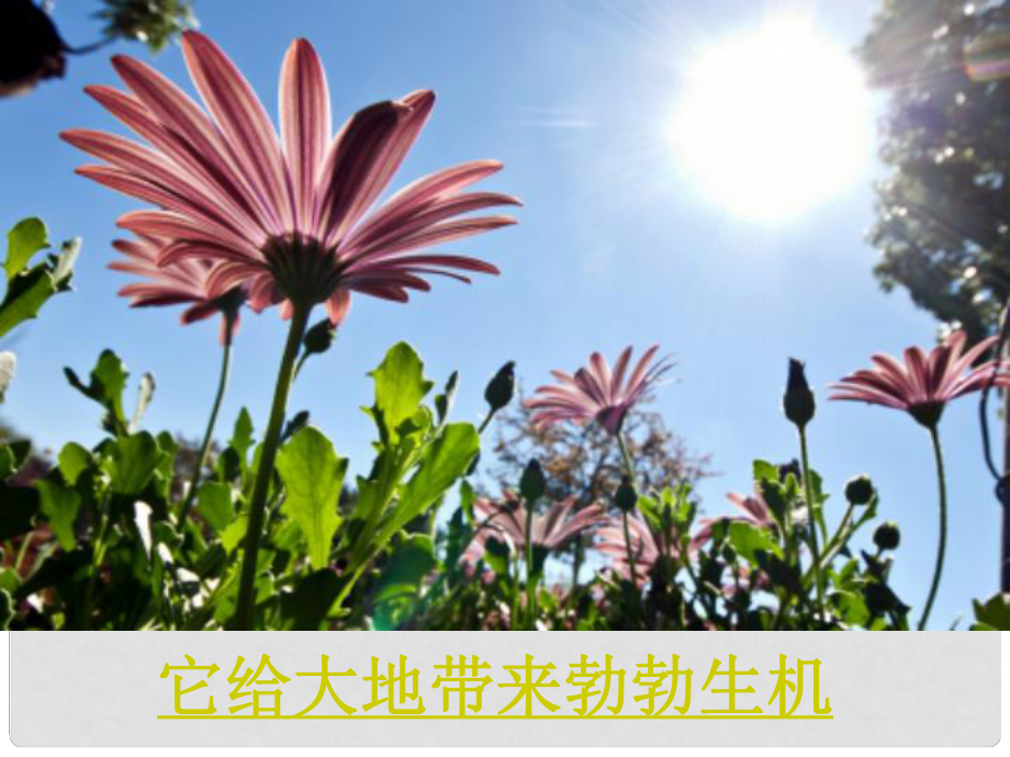 江蘇省太倉市第二中學(xué)九年級化學(xué)上冊 2.2 奇妙的二氧化碳課件 （新版）滬教版_第1頁