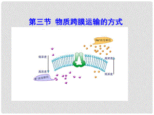 高中生物 第四章 第三節(jié) 物質(zhì)跨膜運(yùn)輸?shù)姆绞秸n件3 新人教版必修1