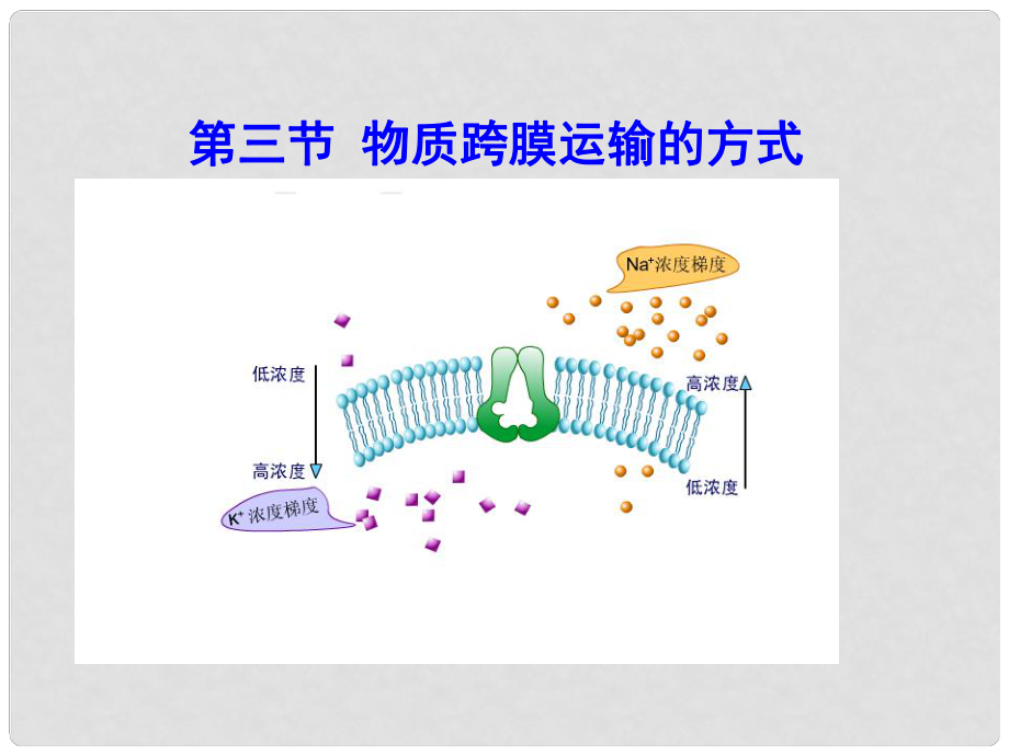 高中生物 第四章 第三節(jié) 物質(zhì)跨膜運輸?shù)姆绞秸n件3 新人教版必修1_第1頁