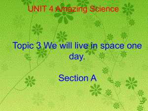 九年級英語Unit4 Topic 3 Section A 2課件仁愛版Section A