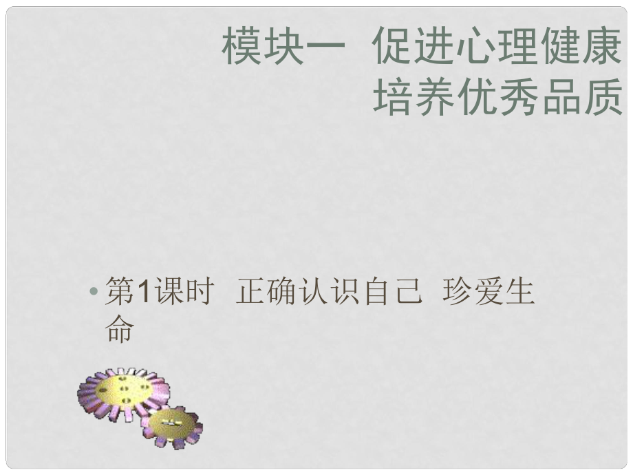 廣東省河源市中英文實(shí)驗(yàn)學(xué)校九年級政治專題復(fù)習(xí) 第1課時正確認(rèn)識自己珍愛生命課件_第1頁