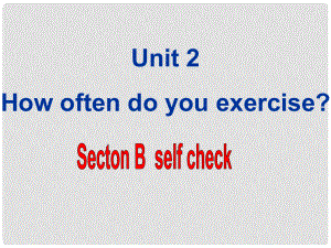 天津市東麗區(qū)徐莊子中學八年級英語上冊 Unit 2 How often do you exercise？Section B selfcheck課件 （新版）人教新目標版