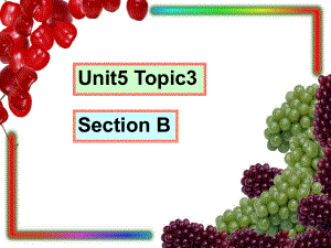 九年級(jí)英語下冊(cè)Unit5 American or British？Topic3 Section B課件仁愛版