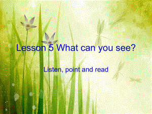 科普版英語四上Lesson 5What can you see課件2