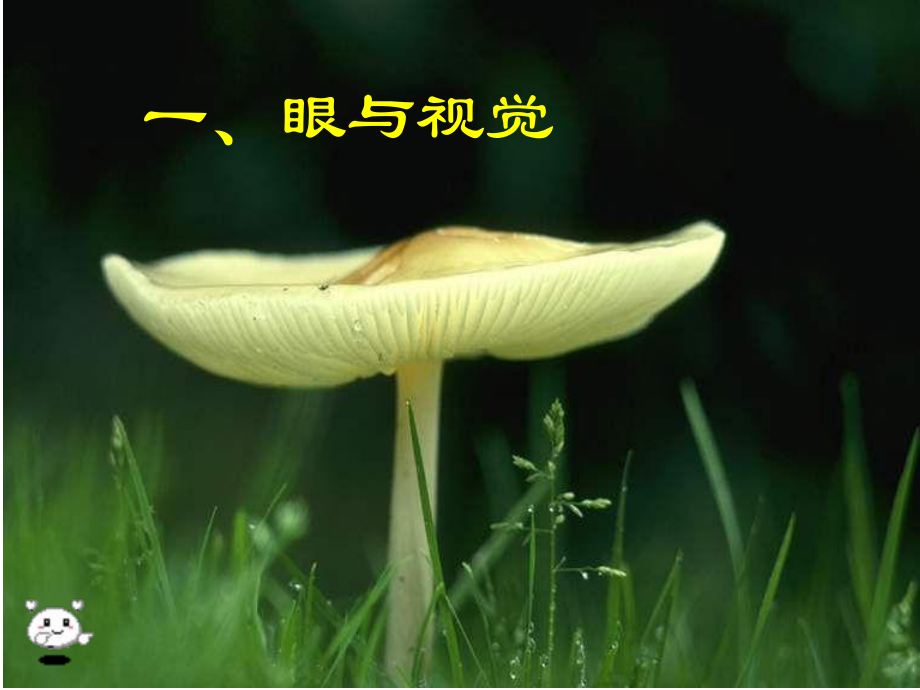 內(nèi)蒙古鄂爾多斯東勝區(qū)正東中學(xué)七年級(jí)生物下冊(cè) 第四單元 第六章 第一節(jié) 人體對(duì)外界環(huán)境的感知課件 新人教版_第1頁(yè)