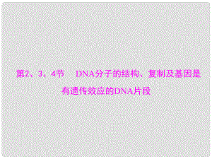 高考生物總復(fù)習(xí) 遺傳與進(jìn)化 第3章 第2、3、4節(jié) DNA分子的結(jié)構(gòu)、復(fù)制及基因是有遺傳效應(yīng)的DNA片段配套課件 新人教版必修2