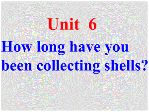 八年級(jí)英語(yǔ)Unit6 How long have you been collecting shells 課件