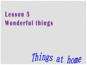 江蘇省鹽城市亭湖新區(qū)實驗學校七年級英語《Lesson 5 Wonderful things》課件4 牛津譯林預備版