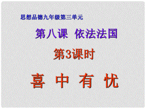 九年級政治全冊 第八課《依法治國》第3課時《喜中有憂》課件 人民版