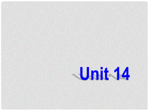 浙江省紹興縣楊汛橋鎮(zhèn)中學(xué)九年級(jí)英語(yǔ)全冊(cè)《Unit 14 I remember meeting all of you in Grade 7》（Section A 2）課件 （新版）人教新目標(biāo)版