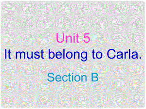 遼寧省燈塔市第二初級中學(xué)九年級英語全冊 Unit 5 What are the shirts made of？（第2課時(shí)）課件 （新版）人教新目標(biāo)版