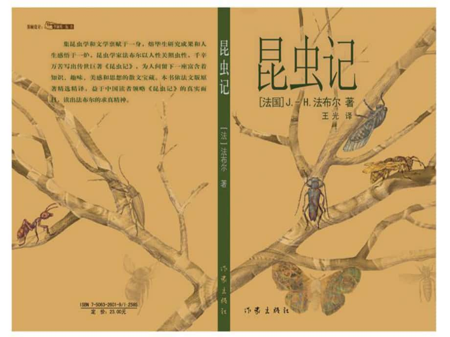 吉林省東遼縣第一高級中學(xué)七年級語文上冊 綠色蟈蟈課件 新人教版_第1頁