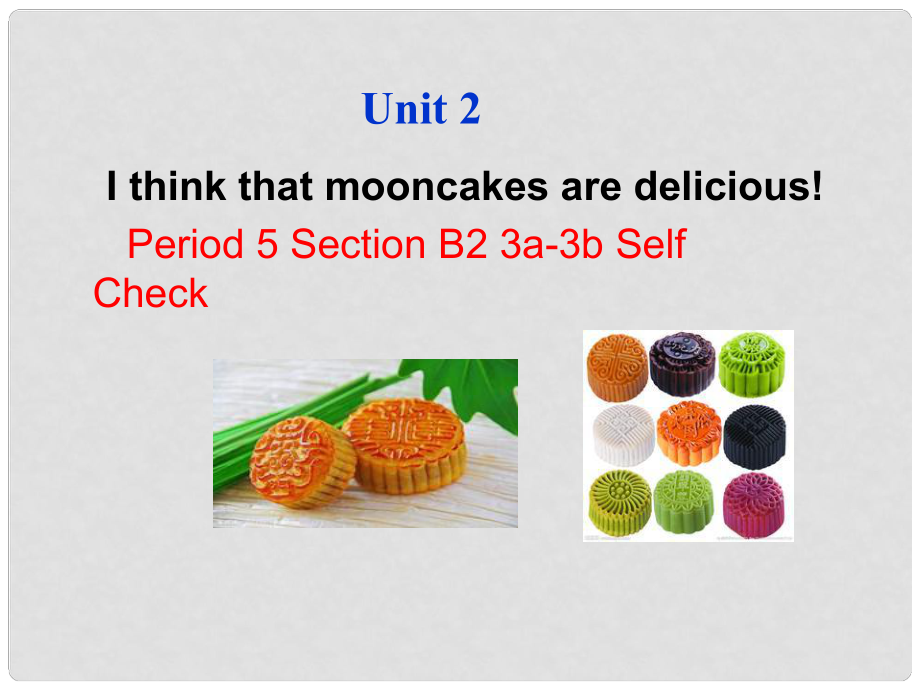 河北省东光县第二中学九年级英语全册 Unit 2 I Think That Mooncakes Are Delicious Section B ...