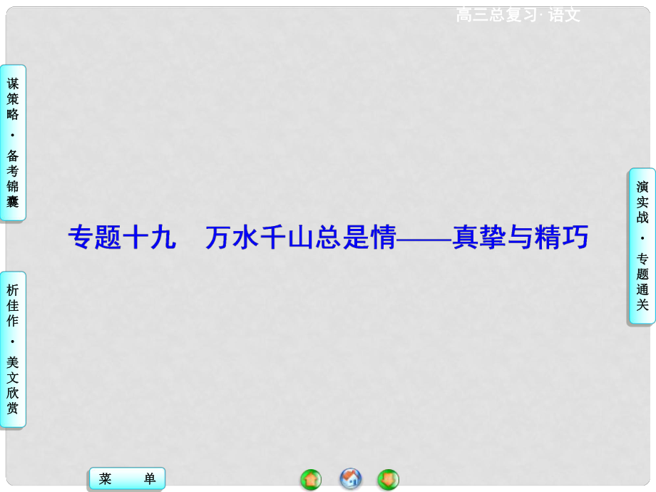 高考语文总复习 专题19 万水千山总是情 真挚与精巧课件_第1页