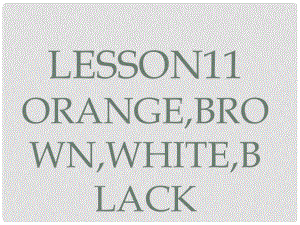 三年級英語上冊《Lesson 11 Orange, Brown, White, Black》課件2 （新版）冀教版